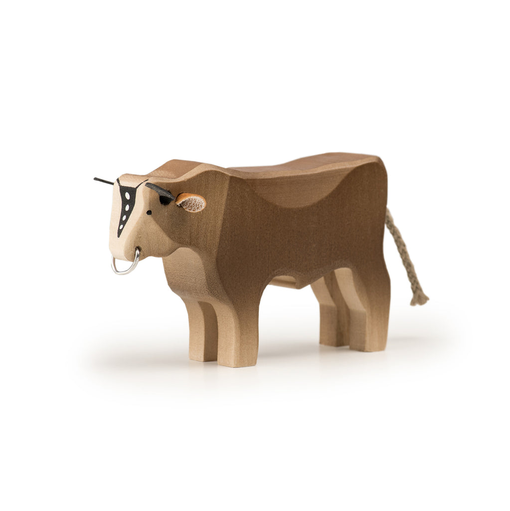 Stier klein Braunvieh