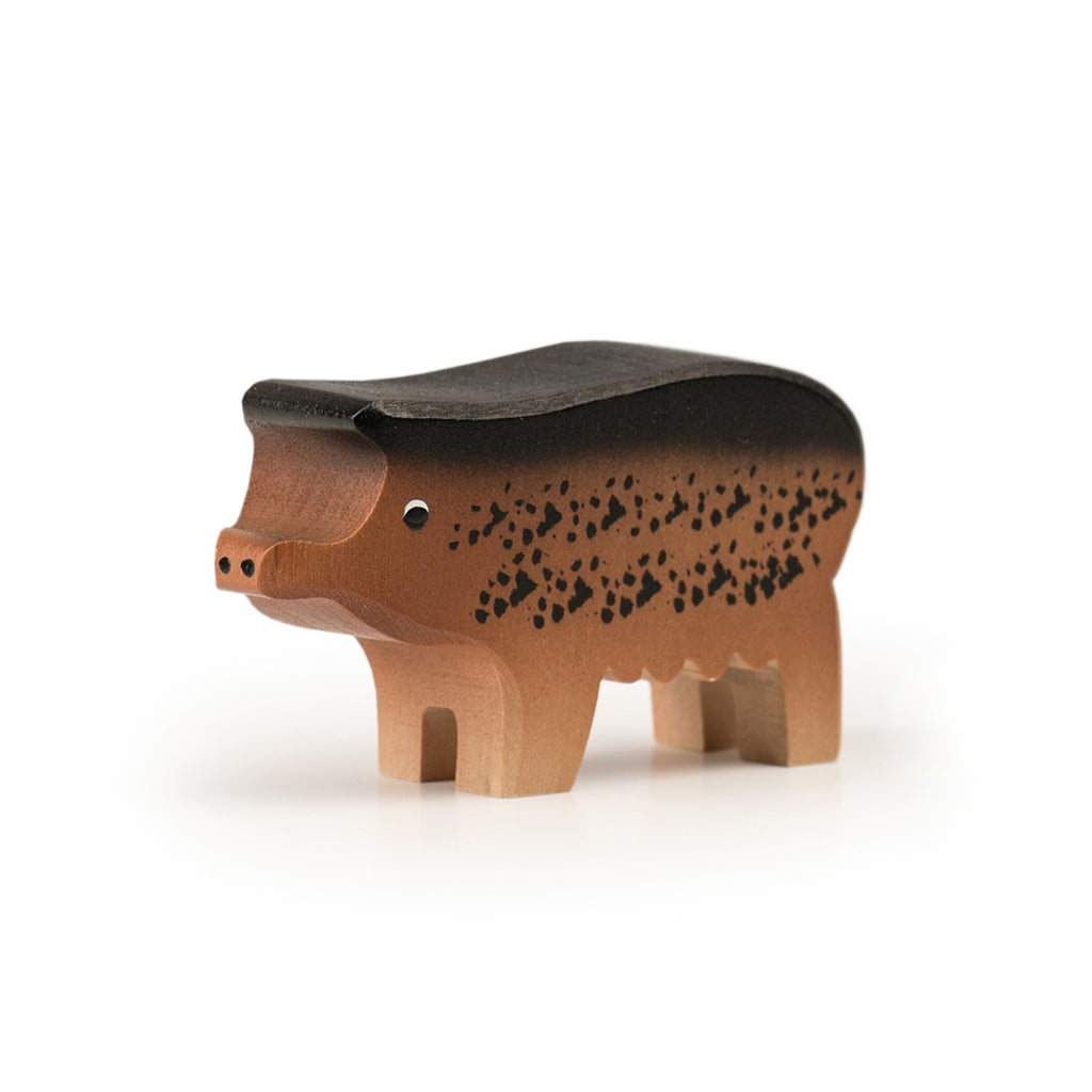 Wollschwein gross