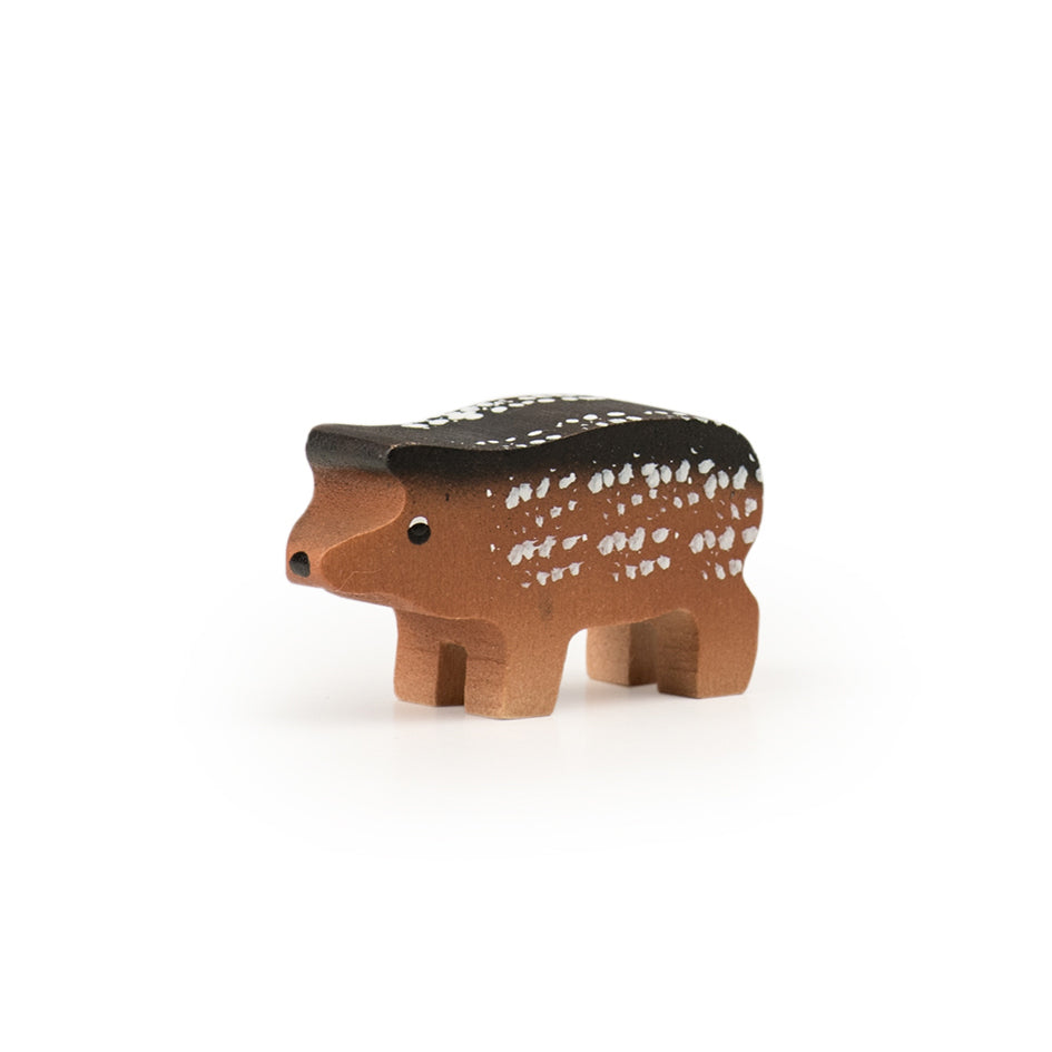Wollschwein Ferkel