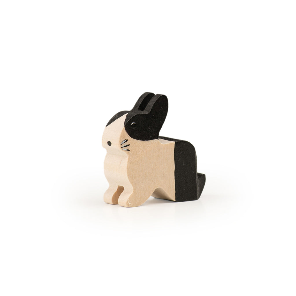 Holländer Hase schwarz