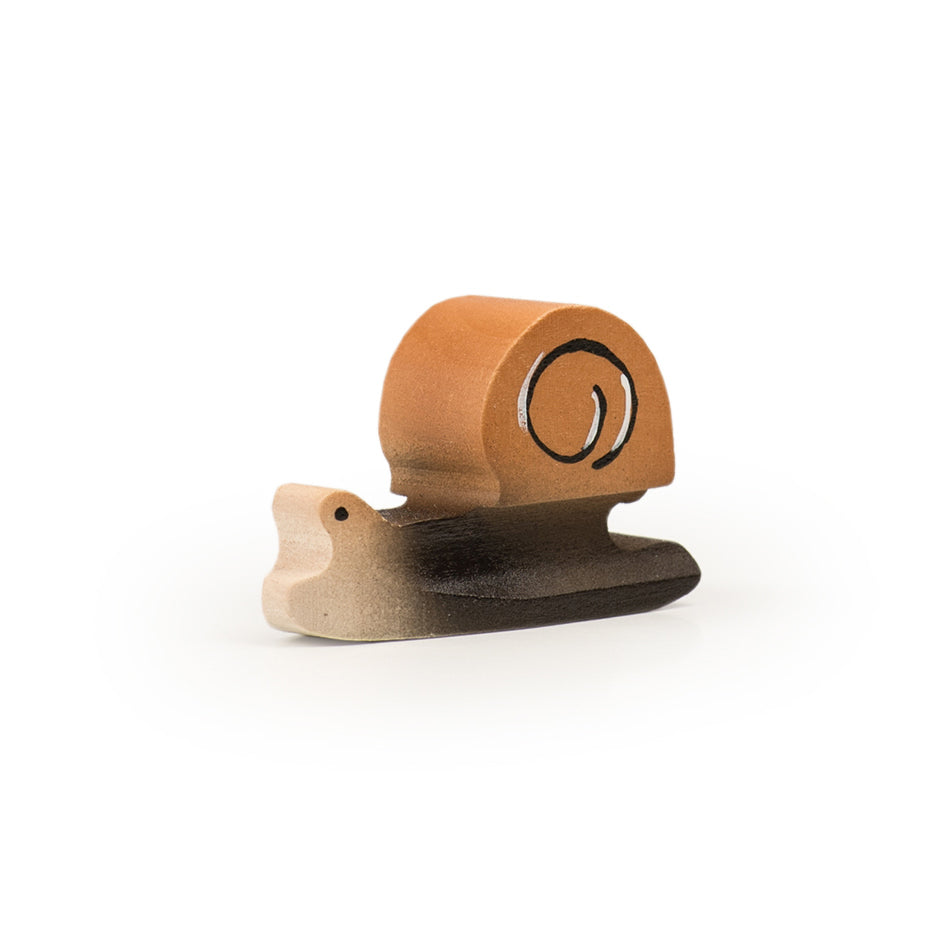 Schnecke