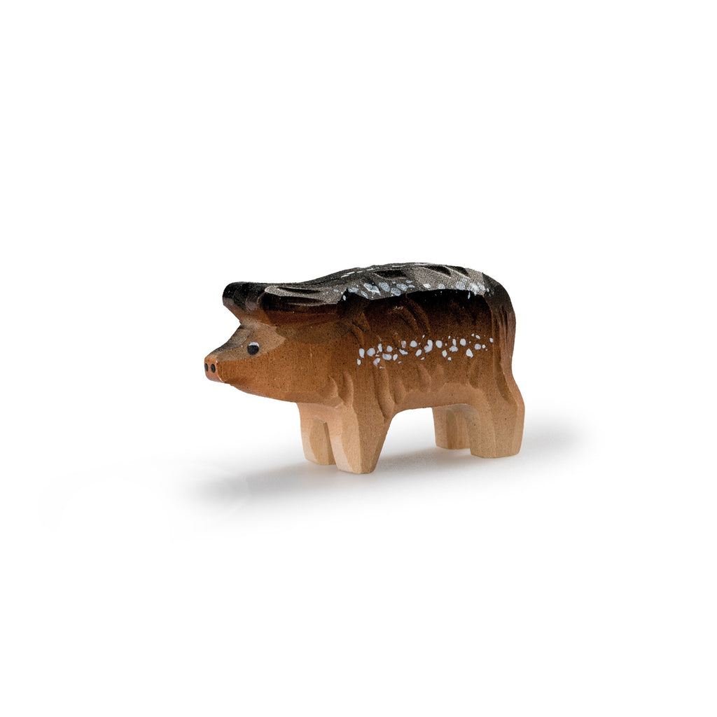 Wollschwein Ferkel - Collection Pro Specia Rara