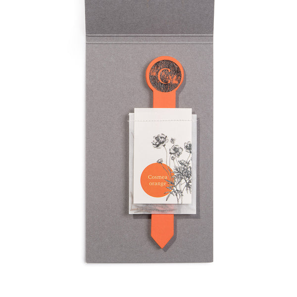 Cosmea orange Bio-Samen-Set